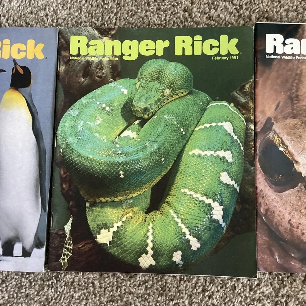 Ranger Rick's Nature Magazine 1991 National Wildlife Kids Vtg Lot Of 12 Complete